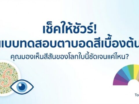 แบบทดสอบตาบอดสีเบื้องต้น