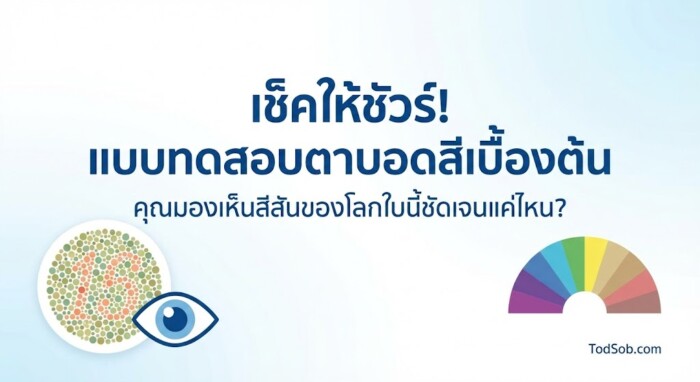 แบบทดสอบตาบอดสีเบื้องต้น