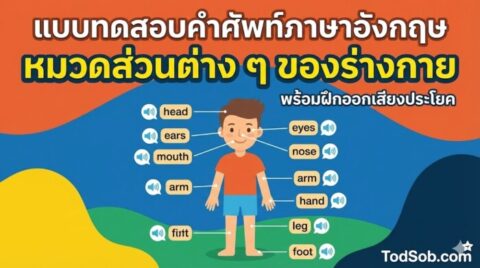แบบทดสอบคำศัพท์ภาษาอังกฤษ หมวดส่วนต่าง ๆ ของร่างกาย (Parts of the Body) 15 คำ พร้อมฝึกออกเสียง