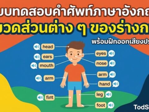 แบบทดสอบคำศัพท์ภาษาอังกฤษ หมวดส่วนต่าง ๆ ของร่างกาย (Parts of the Body) 15 คำ พร้อมฝึกออกเสียง