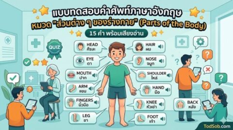 แบบทดสอบคำศัพท์ภาษาอังกฤษ หมวดส่วนต่าง ๆ ของร่างกาย (Parts of the Body) 15 คำ พร้อมเสียงอ่าน