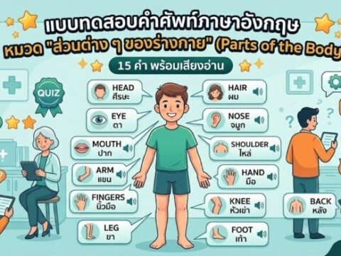 แบบทดสอบคำศัพท์ภาษาอังกฤษ หมวดส่วนต่าง ๆ ของร่างกาย (Parts of the Body) 15 คำ พร้อมเสียงอ่าน