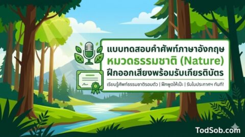 แบบทดสอบคำศัพท์ภาษาอังกฤษ หมวดธรรมชาติ (Nature) ฝึกออกเสียงพร้อมรับเกียรติบัตร