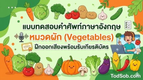 แบบทดสอบคำศัพท์ภาษาอังกฤษ หมวดผัก (Vegetables) ฝึกออกเสียงพร้อมรับเกียรติบัตร