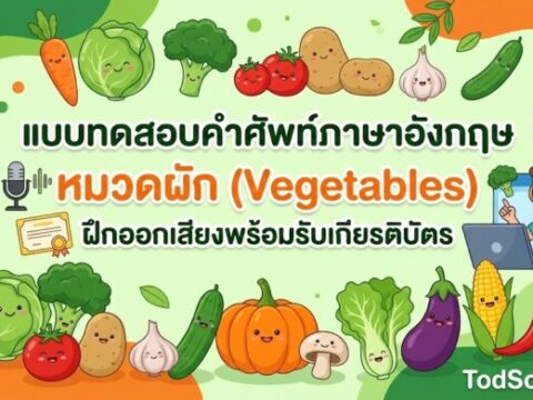 แบบทดสอบคำศัพท์ภาษาอังกฤษ หมวดผัก (Vegetables) ฝึกออกเสียงพร้อมรับเกียรติบัตร