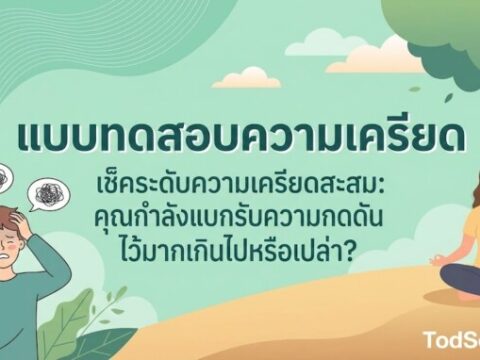 เช็คระดับความเครียดสะสม