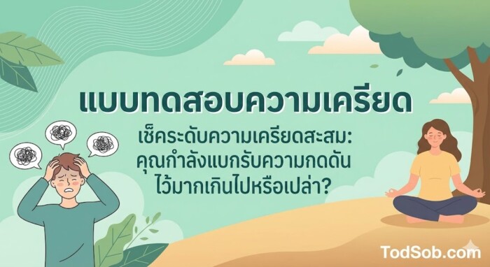 เช็คระดับความเครียดสะสม