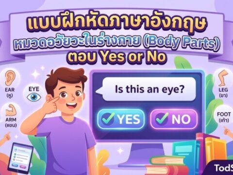 แบบฝึกหัดภาษาอังกฤษ หมวดอวัยวะในร่างกาย (Body Parts) ตอบ Yes or No