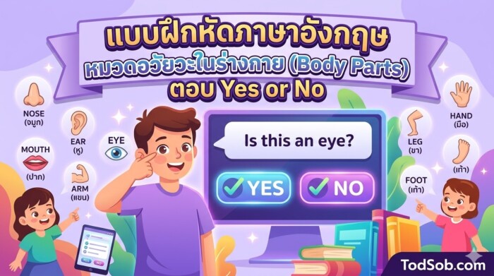 แบบฝึกหัดภาษาอังกฤษ หมวดอวัยวะในร่างกาย (Body Parts) ตอบ Yes or No