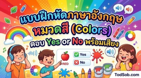 แบบฝึกหัดภาษาอังกฤษ หมวดสี (Colors) ตอบ Yes or No พร้อมเสียง
