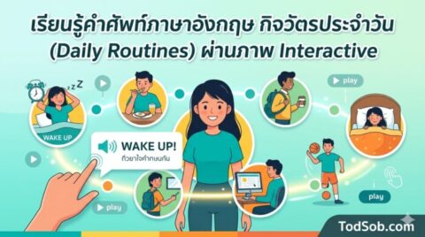 เรียนรู้คำศัพท์ภาษาอังกฤษ กิจวัตรประจำวัน (Daily Routines) ผ่านภาพ Interactive