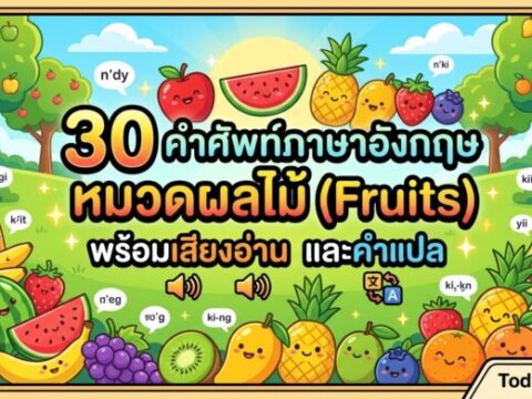 30 คำศัพท์ภาษาอังกฤษ หมวดผลไม้ (Fruits) พร้อมเสียงอ่านและคำแปล