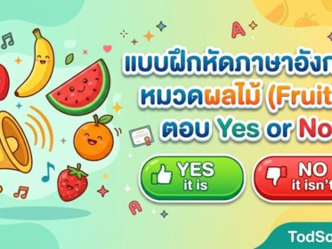 แบบฝึกหัดภาษาอังกฤษ หมวดผลไม้ (Fruits) ตอบ Yes or No