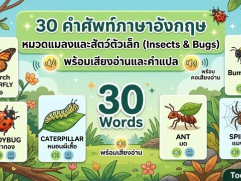 30 คำศัพท์ภาษาอังกฤษ หมวดแมลงและสัตว์ตัวเล็ก (Insects & Bugs) พร้อมเสียงอ่านและคำแปล