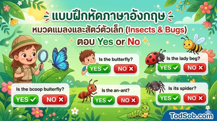แบบฝึกหัดภาษาอังกฤษ หมวดแมลงและสัตว์ตัวเล็ก (Insects & Bugs) ตอบ Yes or No