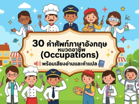 30 คำศัพท์ภาษาอังกฤษ หมวดอาชีพ (Occupations) พร้อมเสียงอ่านและคำแปล