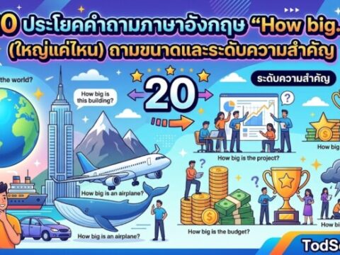 20 ประโยคคำถามภาษาอังกฤษ "How big…" (ใหญ่แค่ไหน) ถามขนาดและระดับความสำคัญ