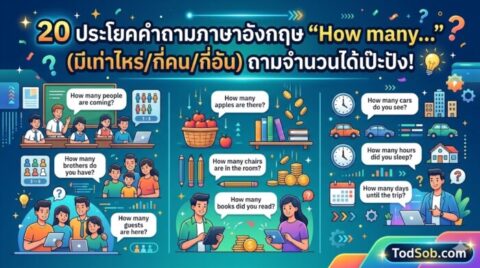 20 ประโยคคำถามภาษาอังกฤษ "How many…" (มีเท่าไหร่/กี่คน/กี่อัน) ถามจำนวนได้เป๊ะปัง!