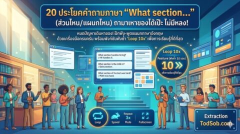 20 ประโยคคำถามภาษาอังกฤษ "What section…" (ส่วนไหน/แผนกไหน) ถามหาของได้เป๊ะ ไม่มีหลง!