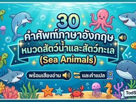 30 คำศัพท์ภาษาอังกฤษ หมวดสัตว์น้ำและสัตว์ทะเล (Sea Animals) พร้อมเสียงอ่านและคำแปล
