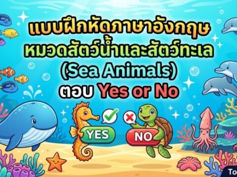แบบฝึกหัดภาษาอังกฤษ หมวดสัตว์น้ำและสัตว์ทะเล (Sea Animals) ตอบ Yes or No