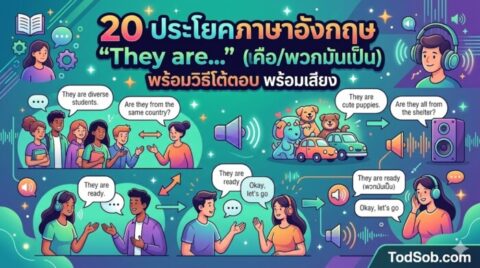 20 ประโยคภาษาอังกฤษ "They are…" (พวกเขาคือ/พวกมันเป็น) พร้อมวิธีโต้ตอบ พร้อมเสียง