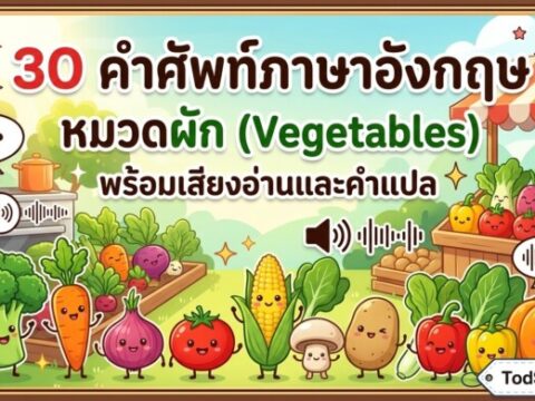 30 คำศัพท์ภาษาอังกฤษ หมวดผัก (Vegetables) พร้อมเสียงอ่านและคำแปล