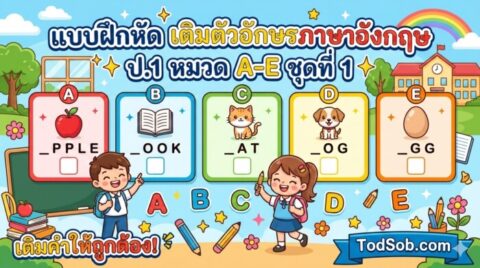 แบบฝึกหัด เติมตัวอักษรภาษาอังกฤษ ป.1 หมวด A-E ชุดที่ 1
