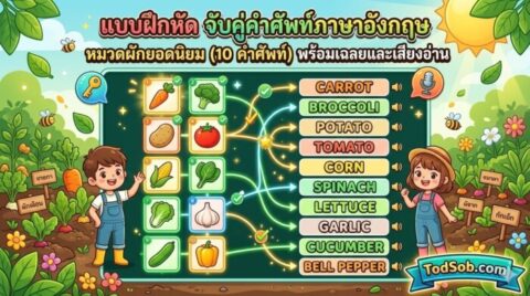 แบบฝึกหัด จับคู่คำศัพท์ภาษาอังกฤษ หมวดผักยอดนิยม (10 คำศัพท์) พร้อมเฉลยและเสียงอ่าน