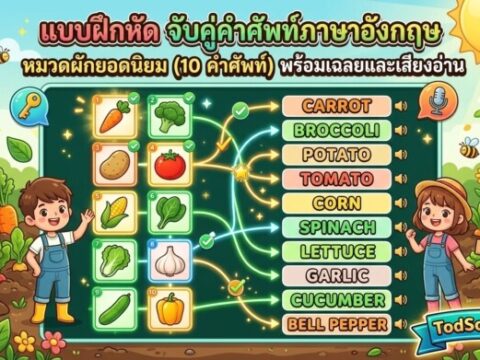 แบบฝึกหัด จับคู่คำศัพท์ภาษาอังกฤษ หมวดผักยอดนิยม (10 คำศัพท์) พร้อมเฉลยและเสียงอ่าน