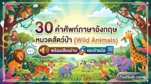 30 คำศัพท์ภาษาอังกฤษ หมวดสัตว์ป่า (Wild Animals) พร้อมเสียงอ่านและคำแปล