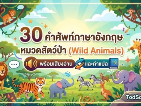 30 คำศัพท์ภาษาอังกฤษ หมวดสัตว์ป่า (Wild Animals) พร้อมเสียงอ่านและคำแปล