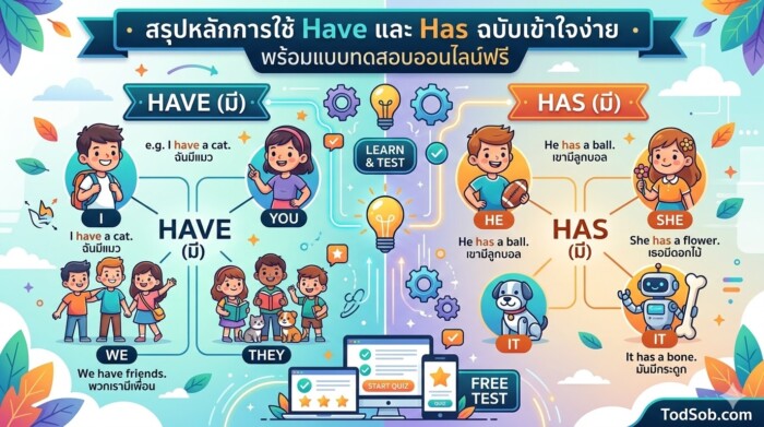 สรุปหลักการใช้ Have และ Has ฉบับเข้าใจง่าย พร้อมแบบทดสอบออนไลน์ฟรี