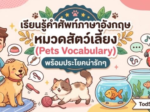 เรียนรู้คำศัพท์ภาษาอังกฤษ หมวดสัตว์เลี้ยง (Pets Vocabulary) พร้อมประโยคน่ารักๆ