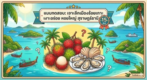 แบบทดสอบ: เจาะลึกเมืองร้อยเกาะ เงาะอร่อย หอยใหญ่ สุราษฎร์ธานี (15 ข้อ)