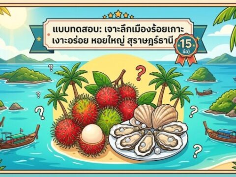 āđāļāļāļāļāļŠāļāļ: āđāļāļēāļ°āļĨāļķāļāđāļĄāļ·āļāļāļĢāđāļāļĒāđāļāļēāļ° āđāļāļēāļ°āļāļĢāđāļāļĒ āļŦāļāļĒāđāļŦāļāđ āļŠāļļāļĢāļēāļĐāļāļĢāđāļāļēāļāļĩ (15 āļāđāļ)