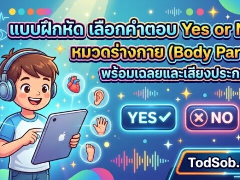 แบบฝึกหัด เลือกคำตอบ Yes or No หมวดร่างกาย (Body Parts) พร้อมเฉลยและเสียงประกอบ