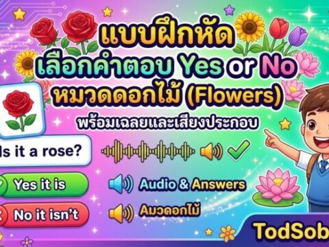 แบบฝึกหัด เลือกคำตอบ Yes or No หมวดดอกไม้ (Flowers) พร้อมเฉลยและเสียงประกอบ