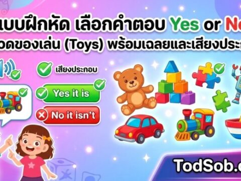 แบบฝึกหัด เลือกคำตอบ Yes or No หมวดของเล่น (Toys) พร้อมเฉลยและเสียงประกอบ