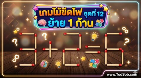 เกมไม้ขีดไฟ ชุดที่ 12 ย้าย 1 ก้าน