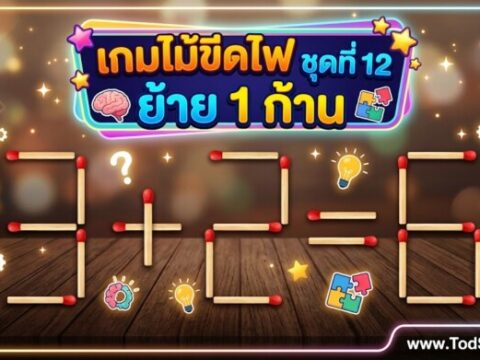 เกมไม้ขีดไฟ ชุดที่ 12 ย้าย 1 ก้าน