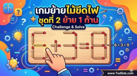 เกมย้ายไม้ขีดไฟ ชุดที่ 2 ย้าย 1 ก้าน