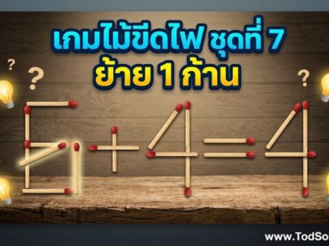 เกมไม้ขีดไฟ ชุดที่ 7 ย้าย 1 ก้าน