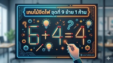เกมไม้ขีดไฟ ชุดที่ 9 ย้าย 1 ก้าน