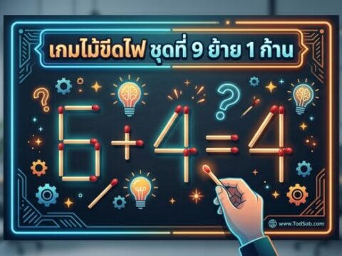 เกมไม้ขีดไฟ ชุดที่ 9 ย้าย 1 ก้าน